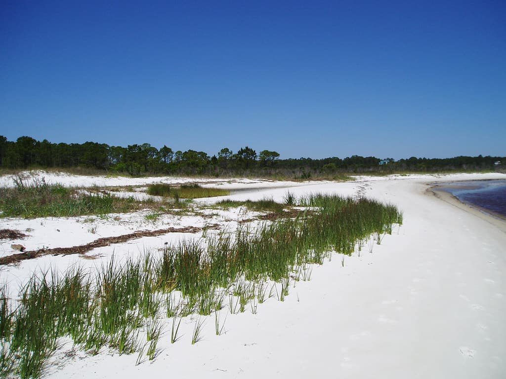 Carrabelle Beach