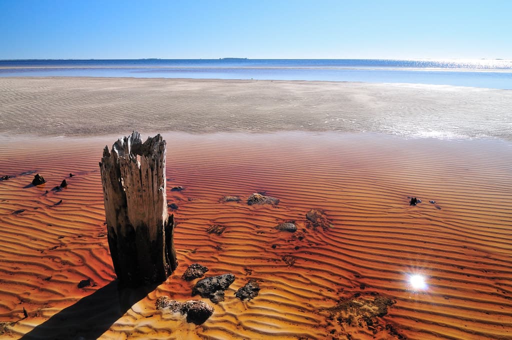 Carrabelle beach, off highway 98