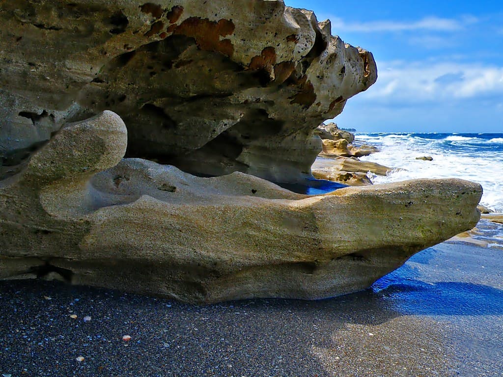 Limestone Hand: Blowing Rocks, Jupiter Island FLorida