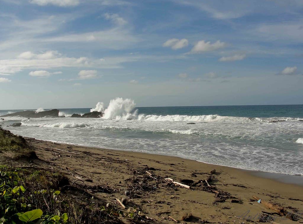 Shacks Beach