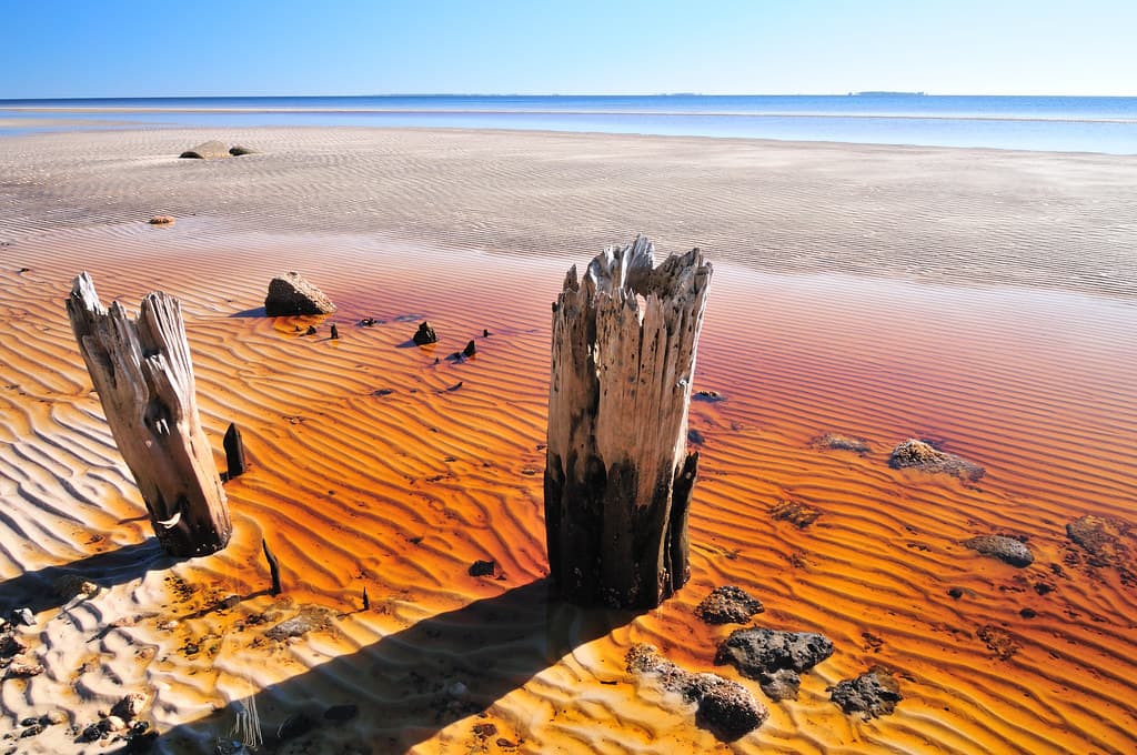 Carrabelle beach, off highway 98