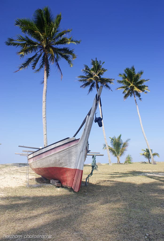 A boat accompanied by three coconut trees