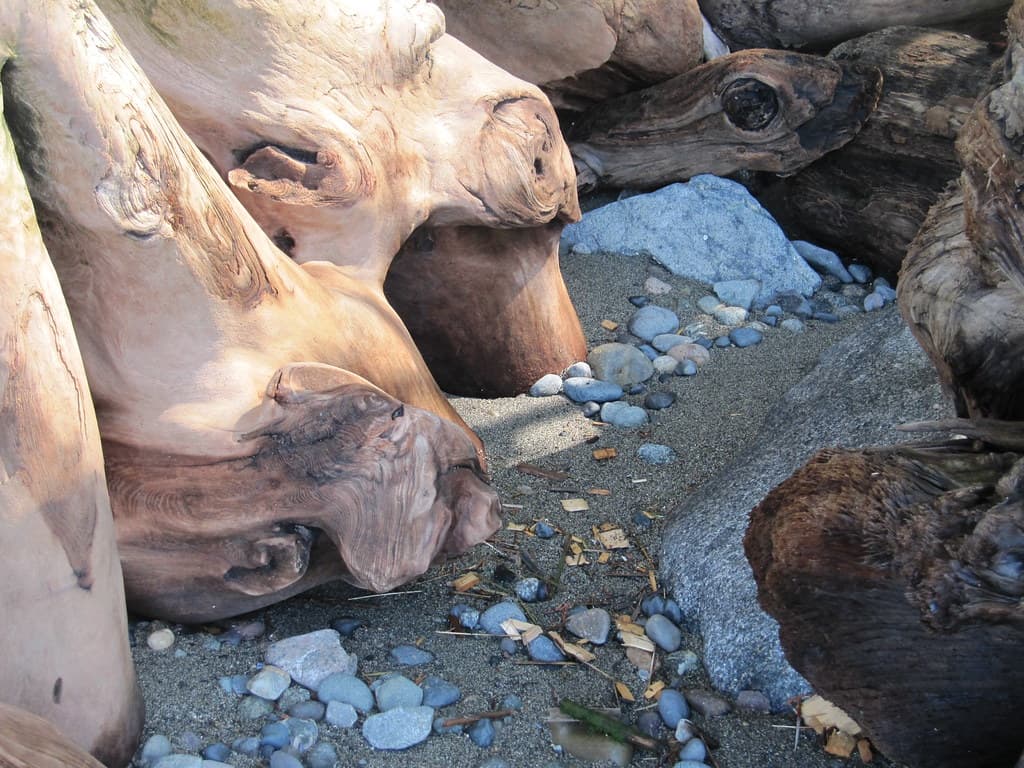 Craig Harbour Beach