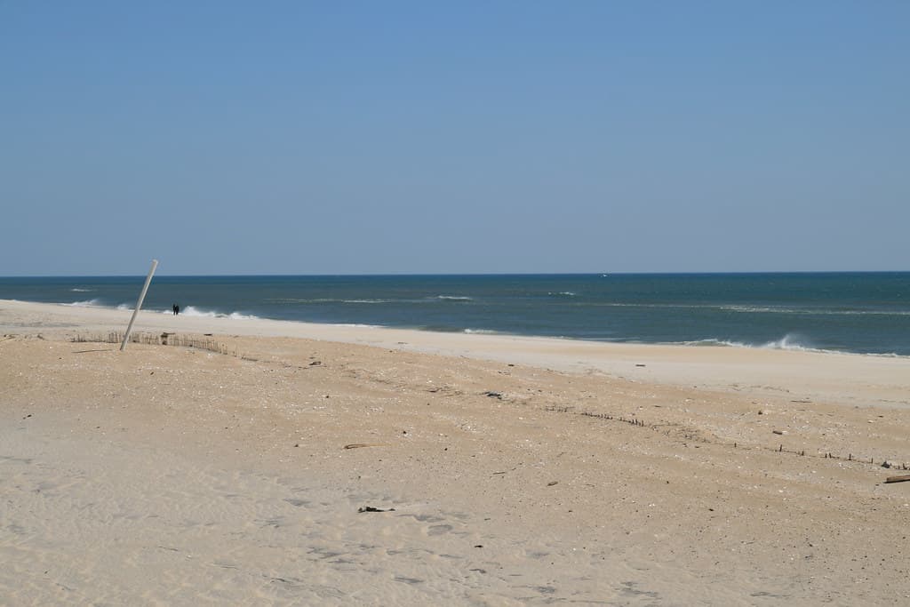Assateague Island National Seashore
