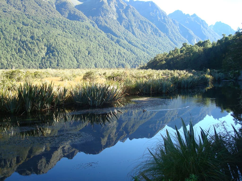 Beautiful Reflection Pools