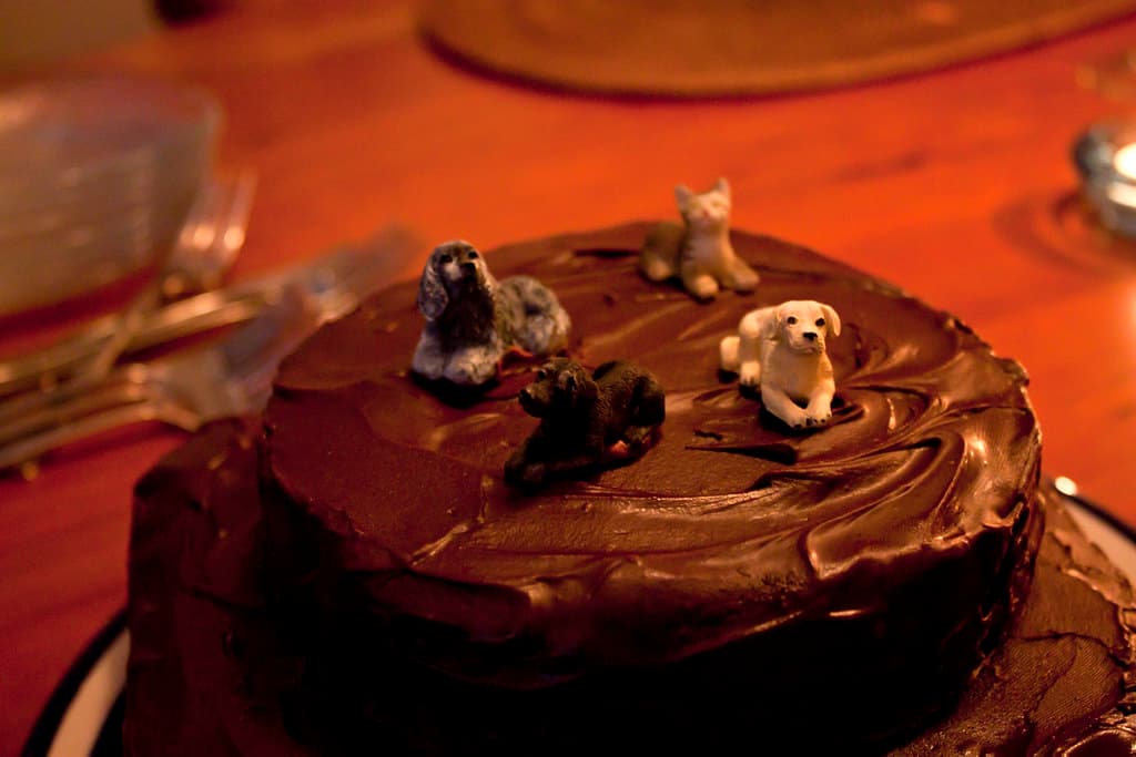 2010 09 04 - 2505 - Barnegat Light - Mocha Cake