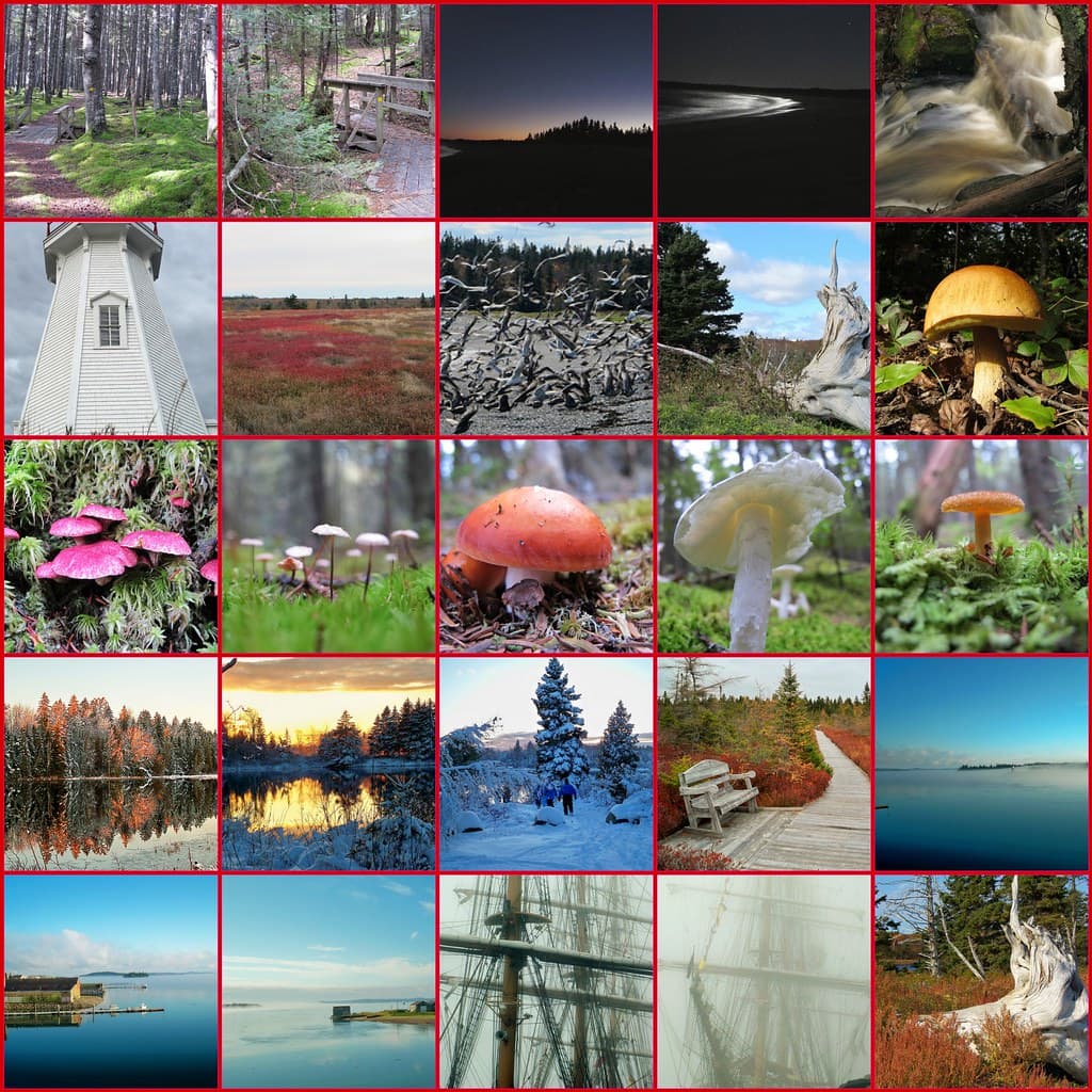 My First Submissions to Getty Images Artist Picks group