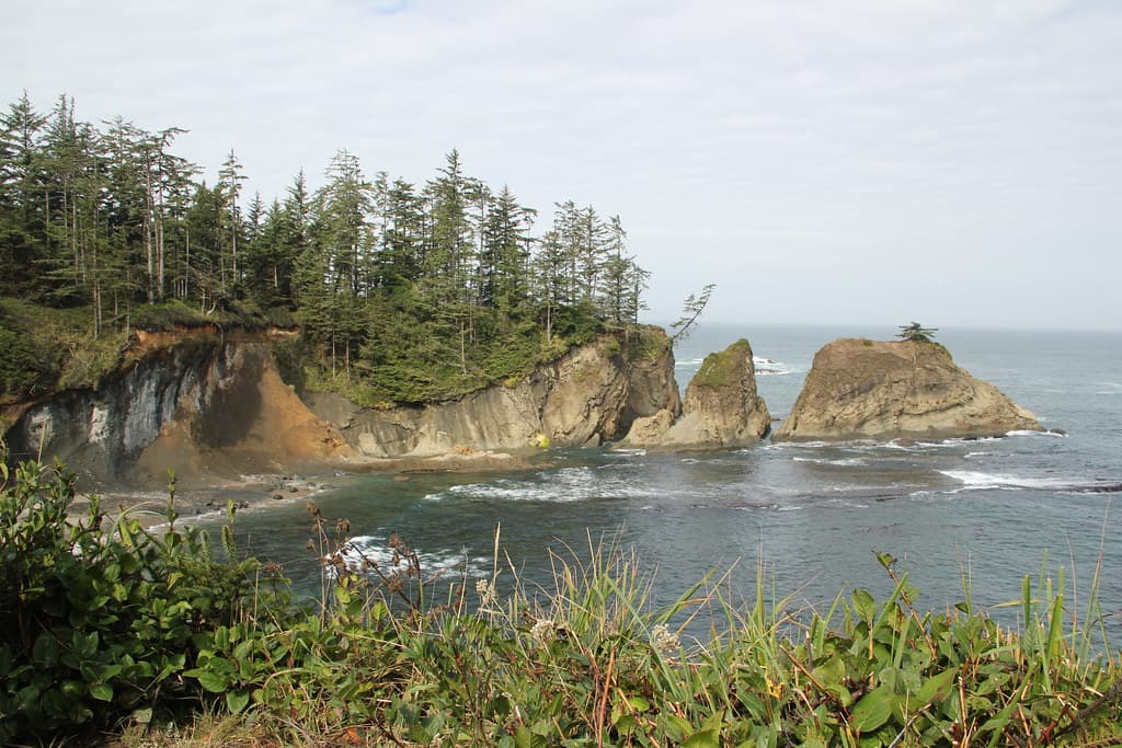 Cape Arago Beach
