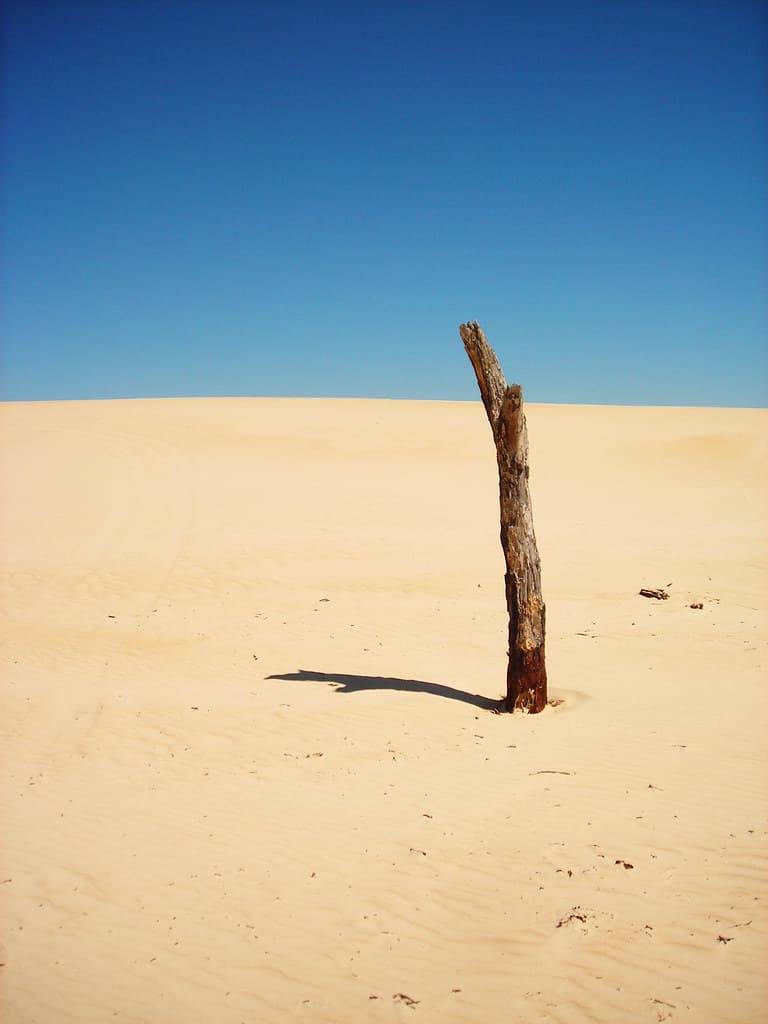 henty sand dunes