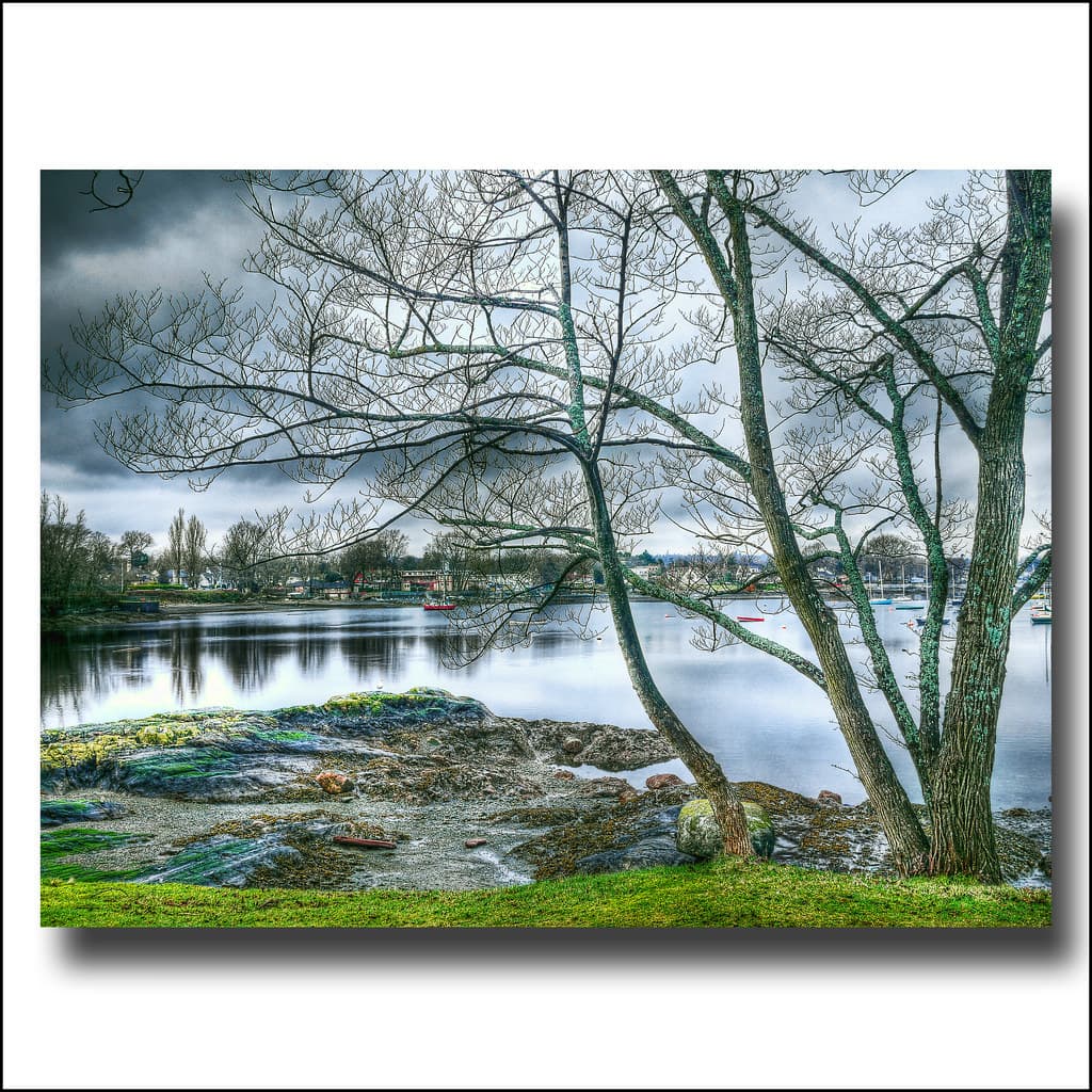 Oak Bay Winter scene