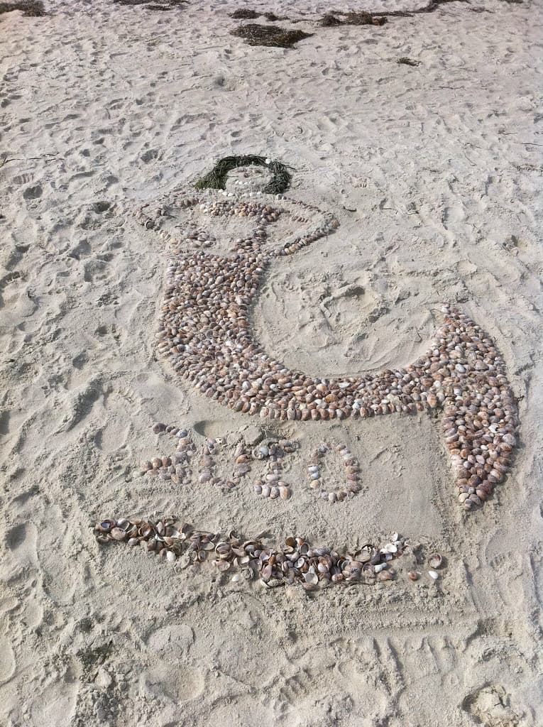 Seashell Mermaid