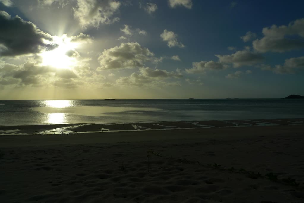 Badu Island Lilly Beach