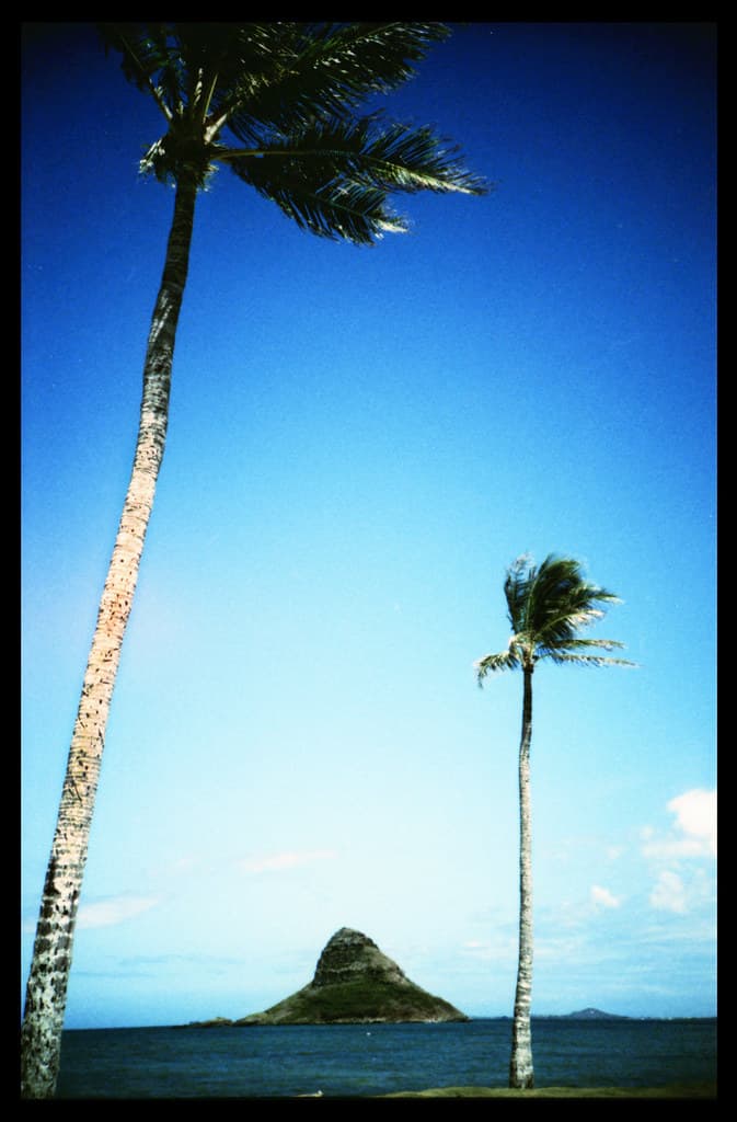 Chrome Hawaii