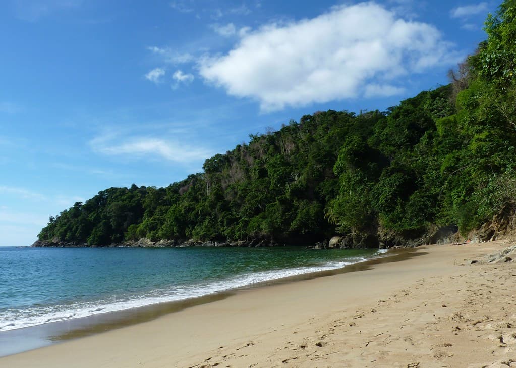 Barbados Bay Beach