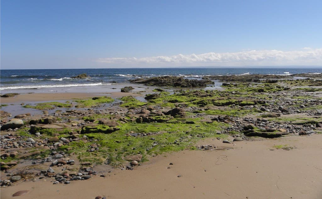 Balintore Beach — photo by IrenicRhonda