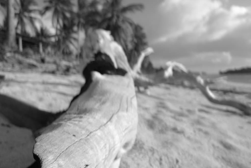 Badu Island Lilly Beach