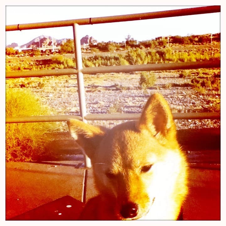 taro turns 2! (pic #6)
