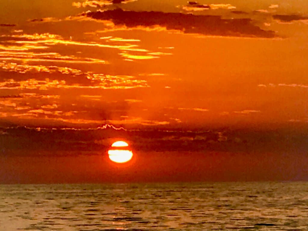 Pacific Sunset 🌅