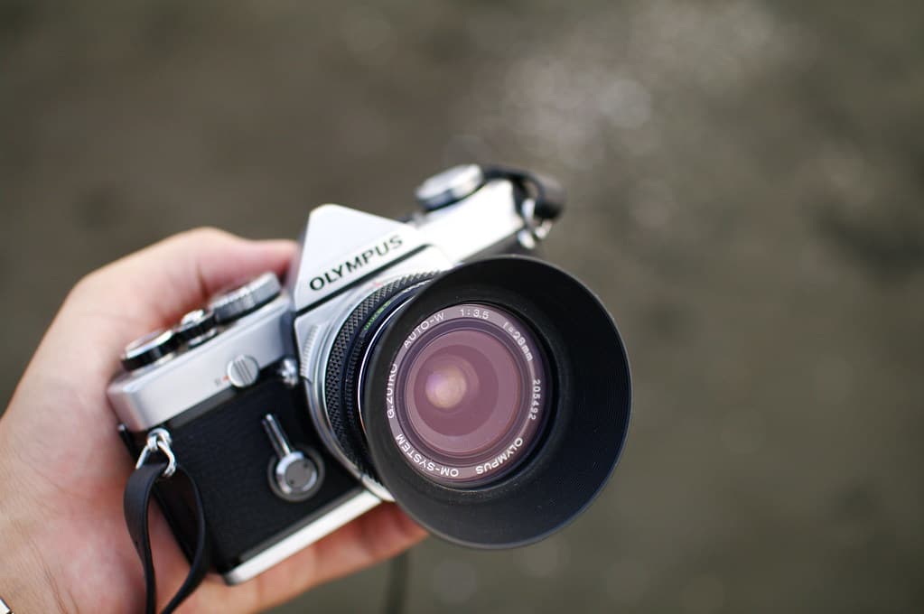 OM-1 @ Enoshima