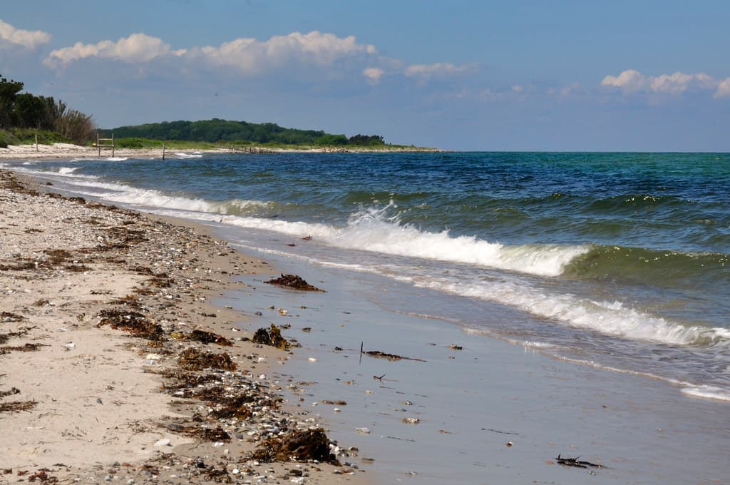 Hasmark Beach — photo by johan wieland