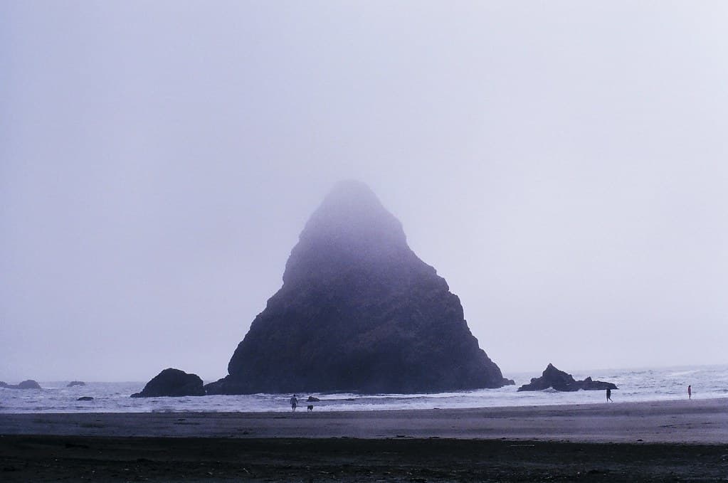 Fog at Whaleshead Beach