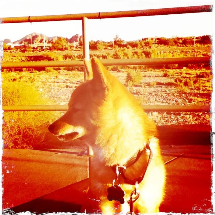 taro turns 2! (pic #2)