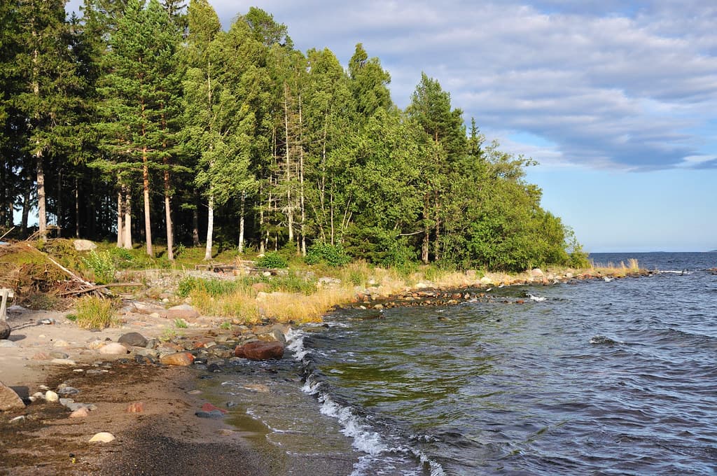 .beach. höga kusten. sweden