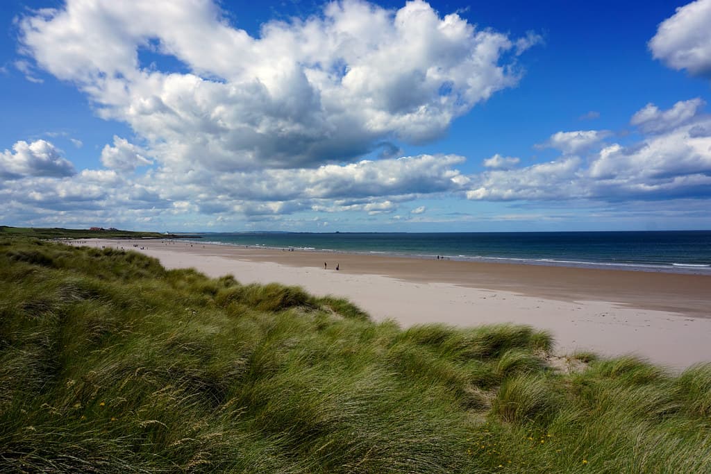 Budle Bay Beach