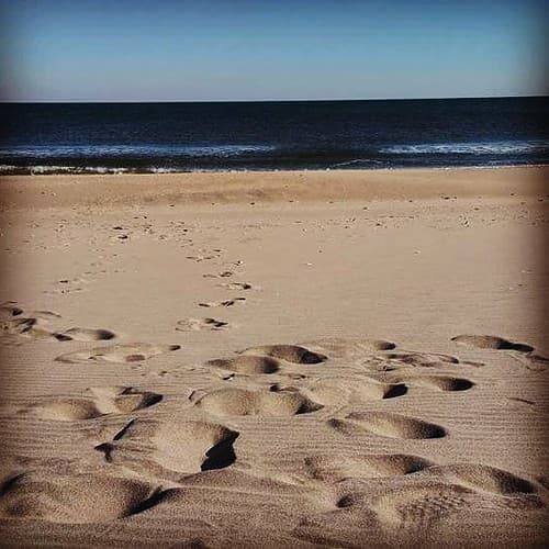 Last year, I did the Polar Bare Plunge at Gunnison Beach (NJ's nude beach), hitting the water at noon on January 6. Doing it again this year on the 8th. Come along. Hit the water... or just stand on the beach and watch 50 or so nekkid idiots jump into the