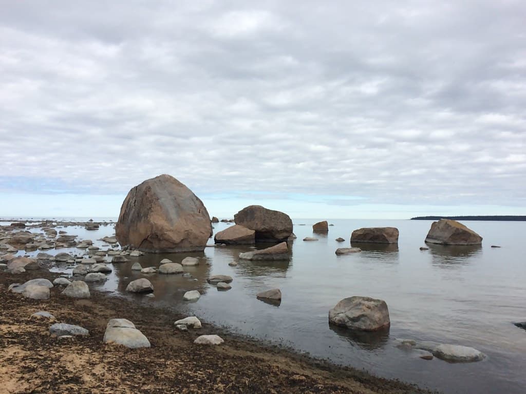 Käsmu Beach — photo by sergei.gussev