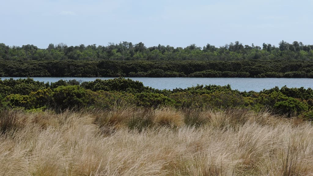Rhyll Inlet