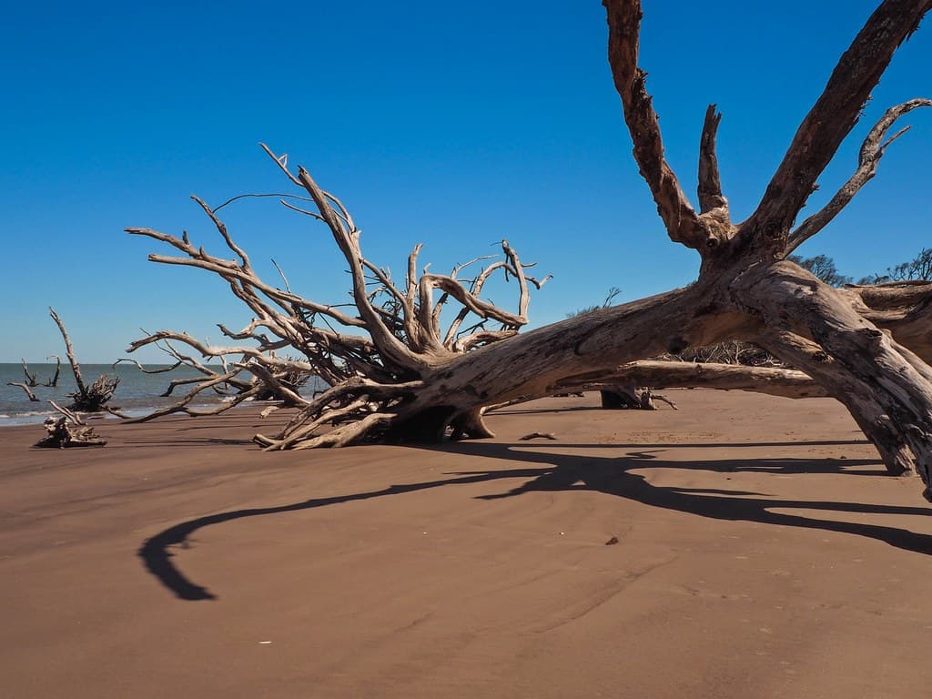 Little Talbot Island Beach