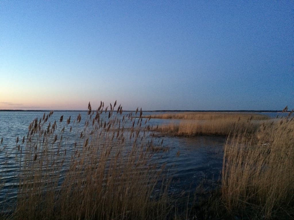 Tagalahe Beach — photo by sergei.gussev