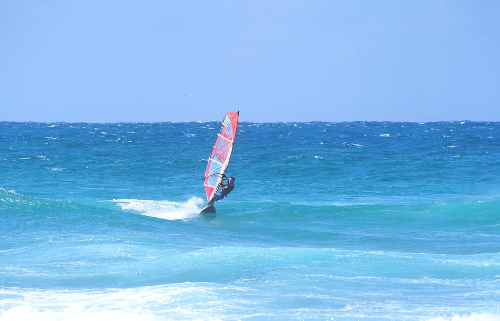 Windsurfer