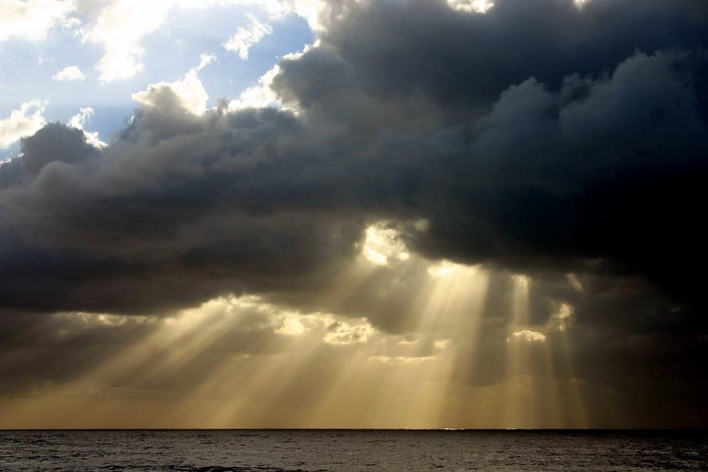 Sun Rays