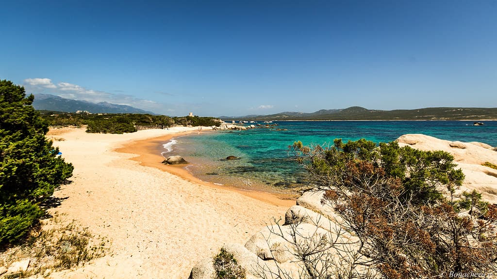 Plage de la Tonnara