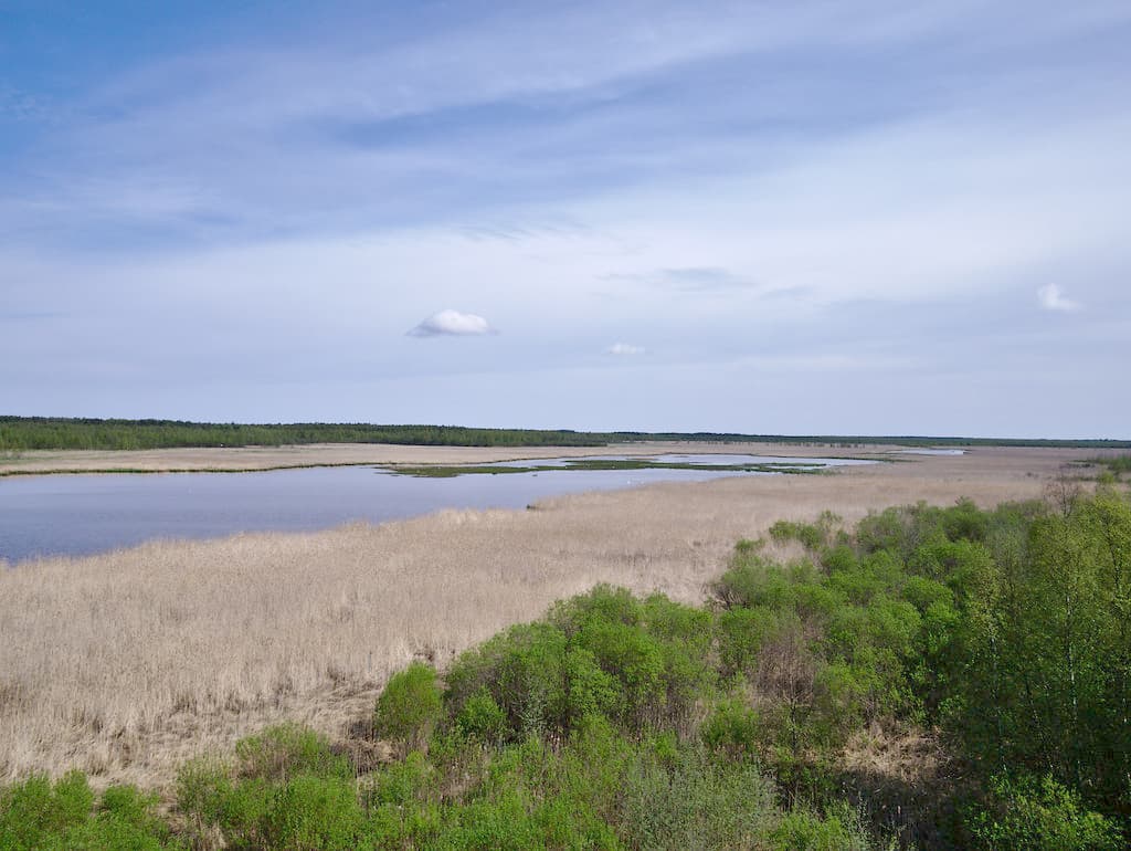 Ojakylä Beach