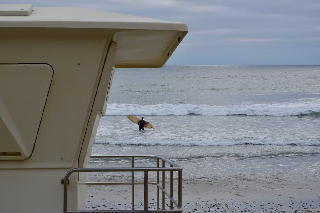 Guardian of the Surf