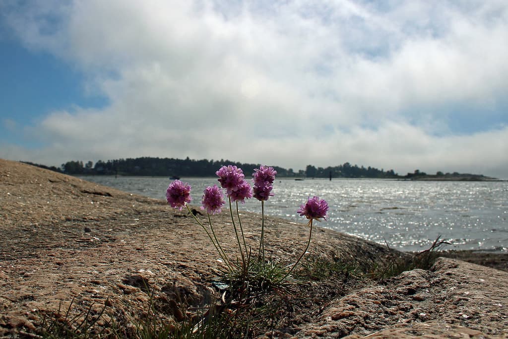 Oven Beach