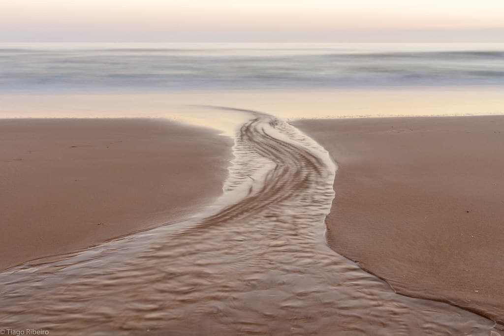 into the sea