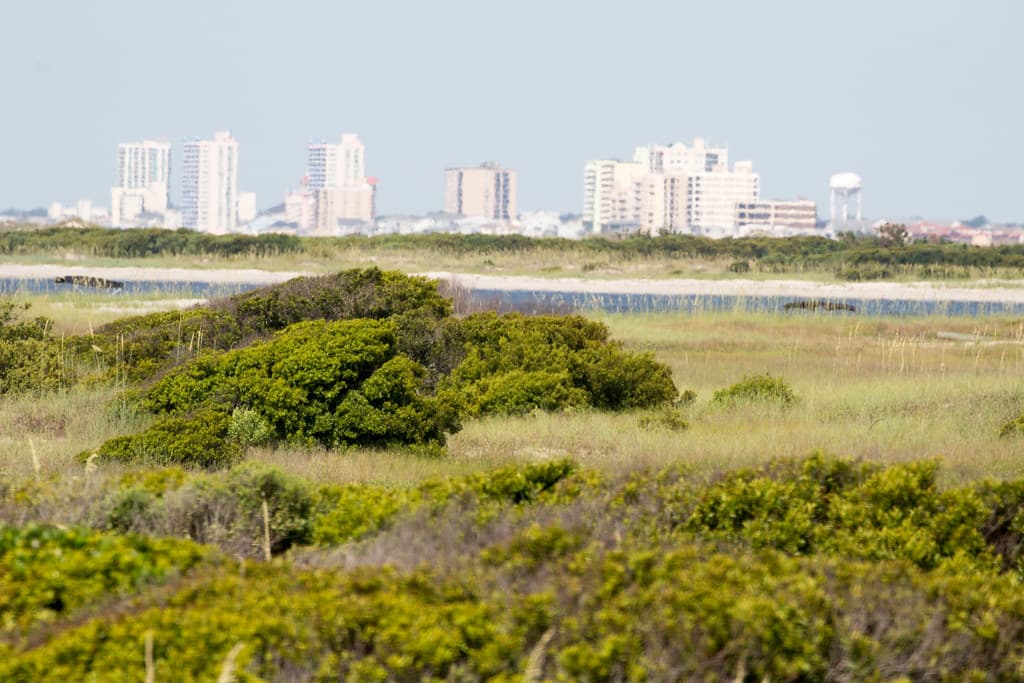Bird Island with Myrtle Beach