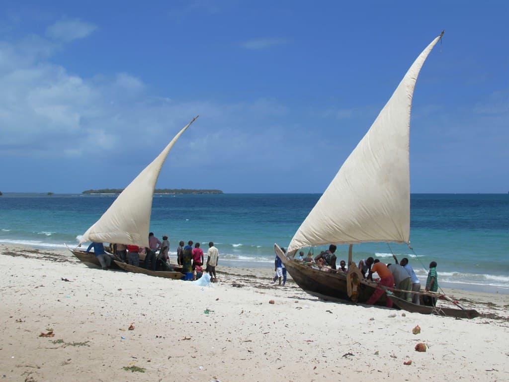 Magogoni Beach — photo by D-Stanley