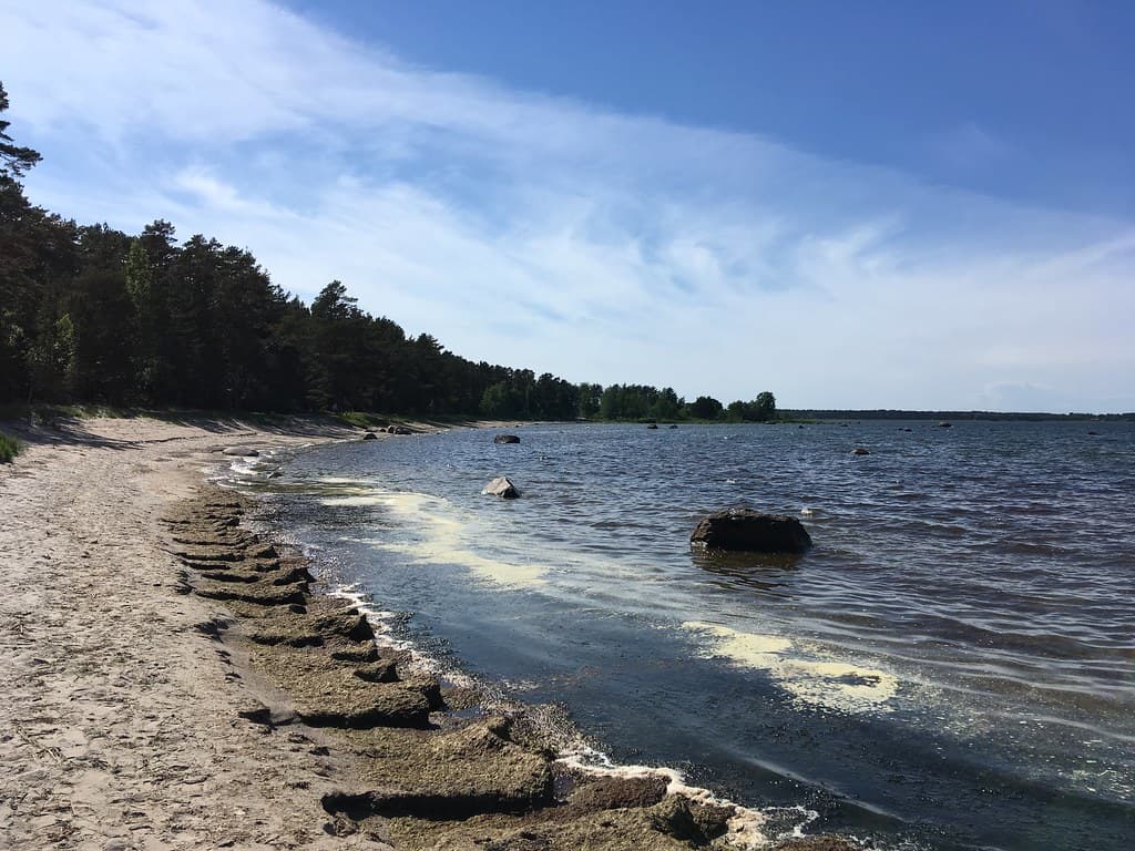 Vainupea Beach — photo by sergei.gussev