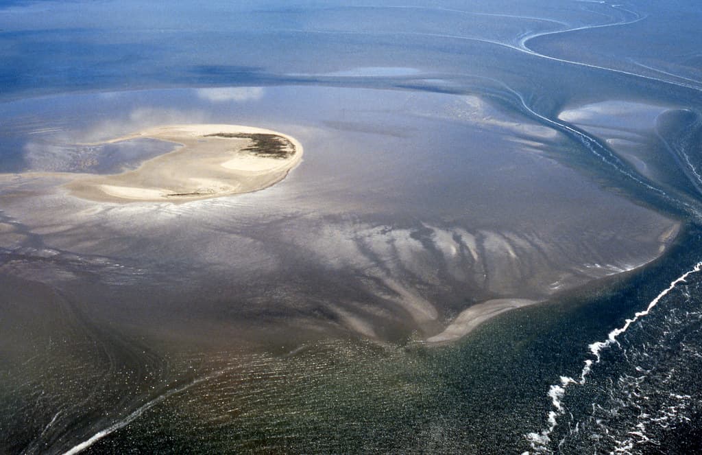 Tidal mudflats and creeks, Kachelotplate, Lower Saxony Wadden Sea National Park, Germany
