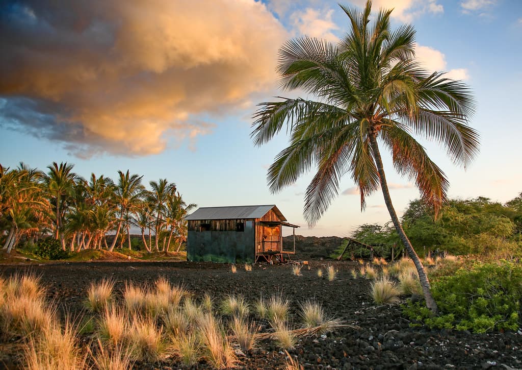 Hawiian Shack