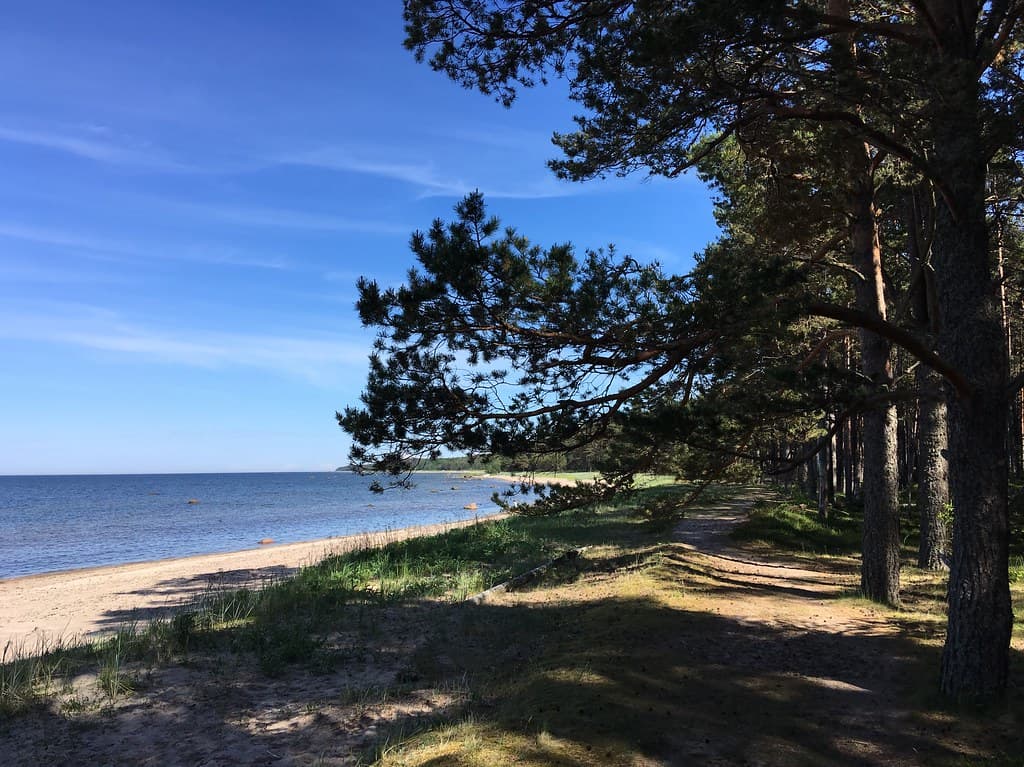 Vainupea Beach — photo by sergei.gussev