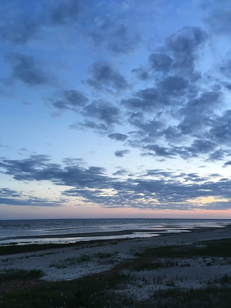 Reiu Coastal Forest Beach — photo by sergei.gussev