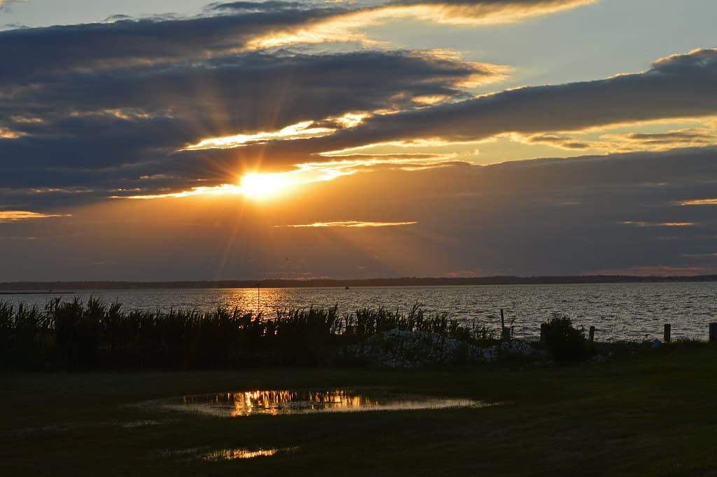Chincoteague National Wildlife Refuge Beach view 3