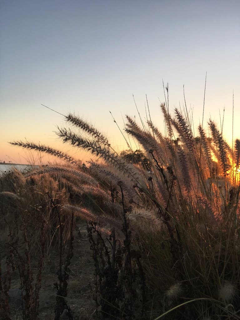 San Diego