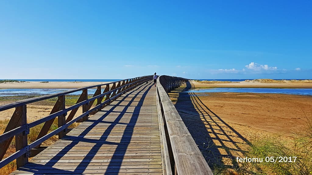 Playa de La Gaviota